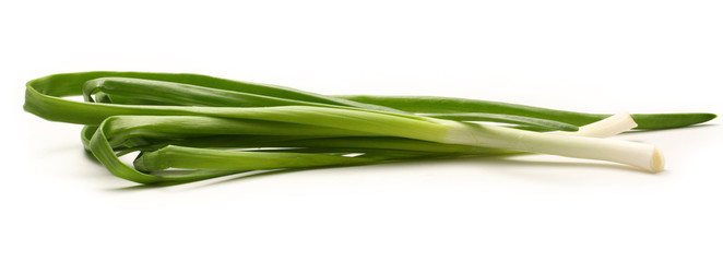 Bunch of green spring onion