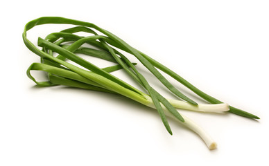 Bunch of green spring onion