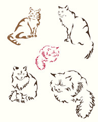 Vector abstract cat .