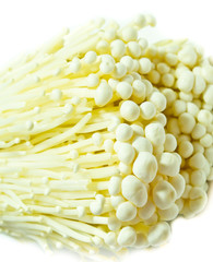 Enoki Mushroom