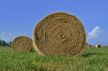 récolte de foin,herbe harvest,nature,balle de foin