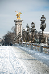 Fototapeta na wymiar Alexandre III most w śniegu
