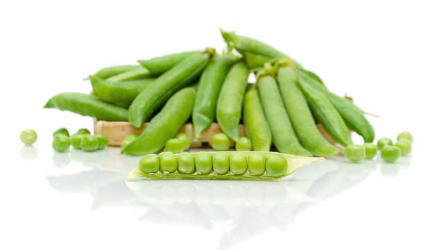 peas on a white background with reflection. horizontal photo.