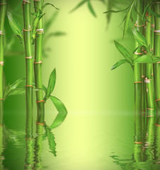 Fototapeta na wymiar Spa still life z bambusa kiełki, wolne miejsce dla tekstu