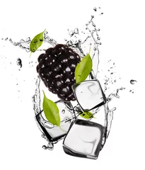 Wall murals In the ice Blackberry with ice cubes, isolated on white background