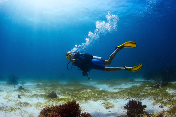 Diver