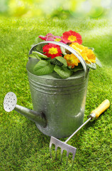 Rustic metal watering can with flowers