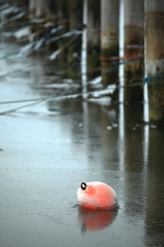 Frozen Harbor