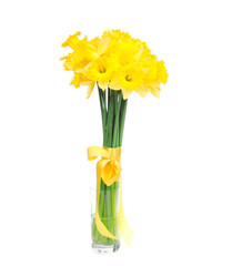 Bouquet of yellow lent lily daffodil or narcissus