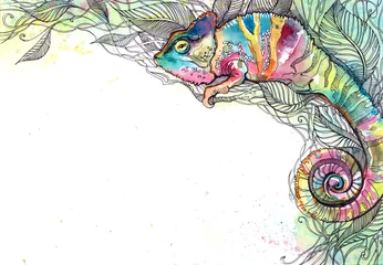 Foto op Plexiglas Schilderingen chameleon