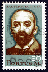 Postage stamp Portugal 1966 Camara Pestana, Bacteriologist