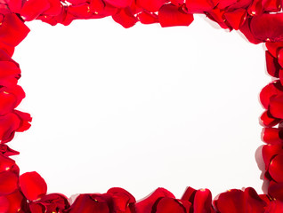 Romantic Red Rose petal frame