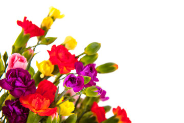 Colorful bouquet Dianthus