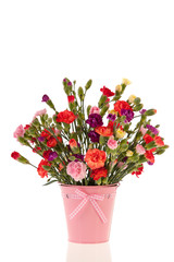 Bouquet colorful Dianthus
