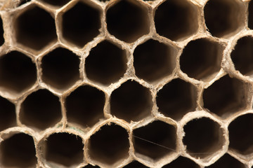 beautiful honeycomb , background