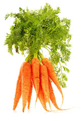 Fresh carrots bunch isolated on whiet background