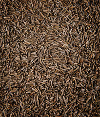 Cumin texture