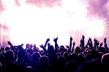 cheering crowd at concert