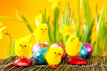 Easter Eggs, Chicks and Flowers