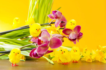 Easter Decorations with Orchid and Chicks
