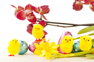 Easter Decorations with Orchid and Chicks
