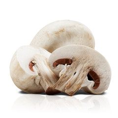 Champignon