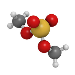 dimethyl sulfate methylating agent, molecular model