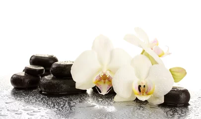 Foto auf Acrylglas Spa-Steine und Orchideenblüten, isoliert auf weiss. © Africa Studio