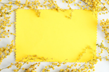 Twigs of mimosa flowers and empty card, close up