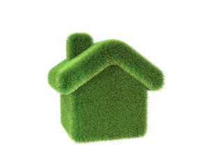 Green eco house