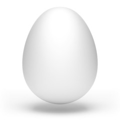 Egg on White Background