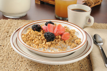 Granola with strawberries and blackberries