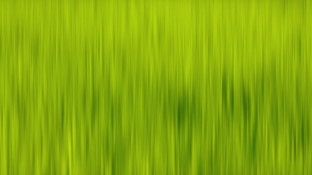 Green grass texture