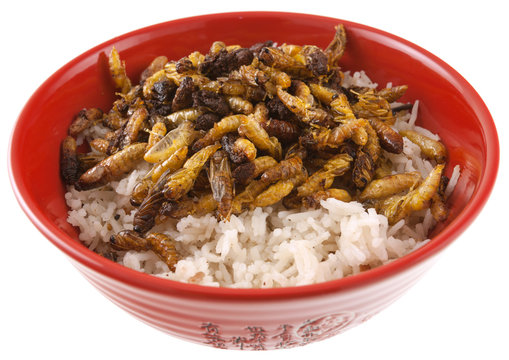 bol de riz et larves de gu&ecirc;pes frites
