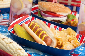 Picnic on 4th of July