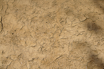 Daub, mud and cow dung
