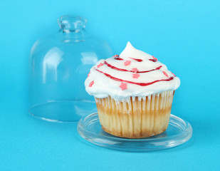 Cupcake on saucer with glass cover, on color background