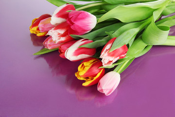 Beautiful tulips in bucket on purple background