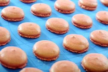 Macaroons on a baking sheet.