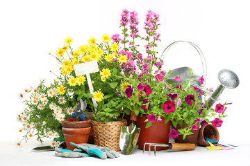 Gardening tools and flowers