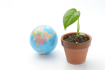 エコロジーイメージ―観葉植物と地球