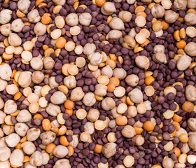 Chickpeas and lentils
