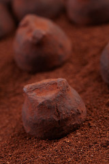 chocolate truffles