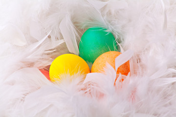 Colorful easter eggs in white feather