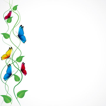 Papillon &agrave; gauche