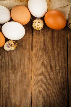 Eggs on textile