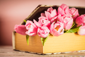 Tulips in book