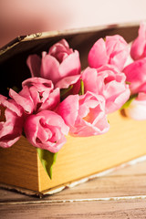 Tulips in book