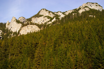 Dolina Kościeliska Tatry zachodnie w Polsce © Piotr Szpakowski