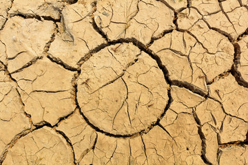 Dry soil texture on the ground